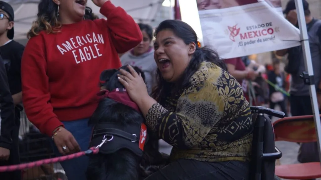 Cepanaf pide no regalar animales en Navidad