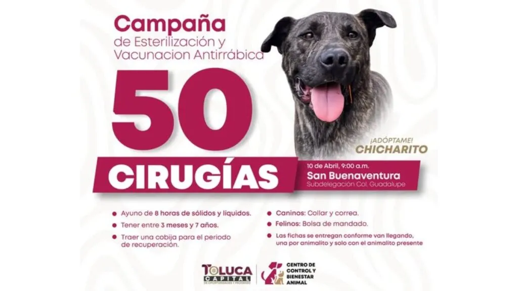 San Buenaventura anuncia jornada de esterilización y vacunación. Aquí todos los detalles