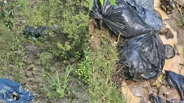 Vecinos de Tepatlaxco exigen esclarecer hallazgo de perros fallecidos en Naucalpan
