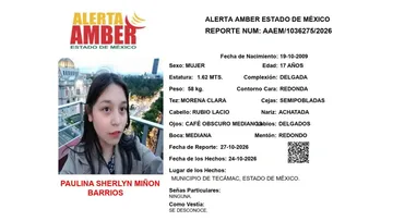 Alerta Amber: Se busca a Paulina Sherlyn Miñón Barrios, desaparecida en Tecámac