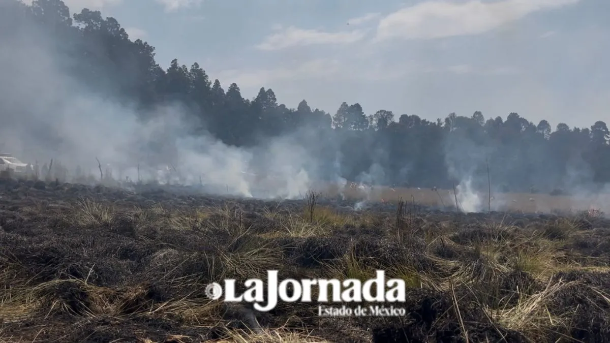 Quema de pastizales aumentan riesgo de contingencia en Valle de Toluca: Especialista