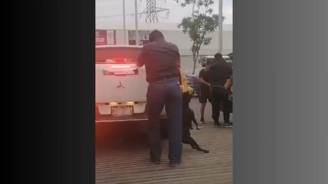 Ixtapaluca: Detienen a sujeto que ahorcó a seis perros