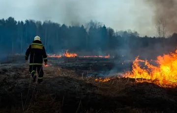 Proponen hasta 15 años de cárcel por incendios forestales en Áreas Naturales Protegidas de Edomex
