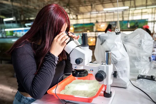 El modelo, podría replicarse en otras instituciones públicas.