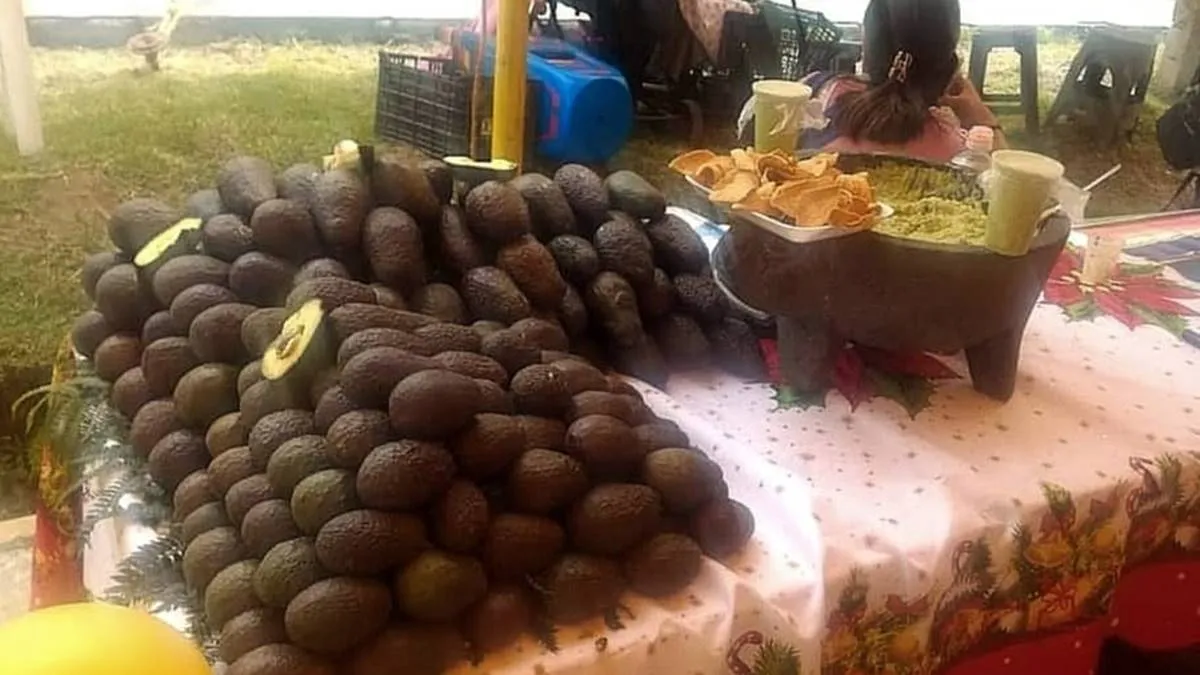 Feria del aguacate en Atlautla concluye con buenos resultados