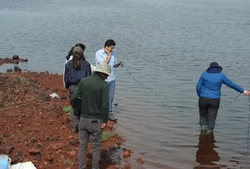 Reaparece el mexcalpique en el Lago de Texcoco: Pez en peligro repuebla mil 200 hectáreas