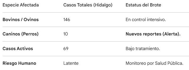¡Gusano barrenador pone en alerta! Registran casos en en animales domésticos