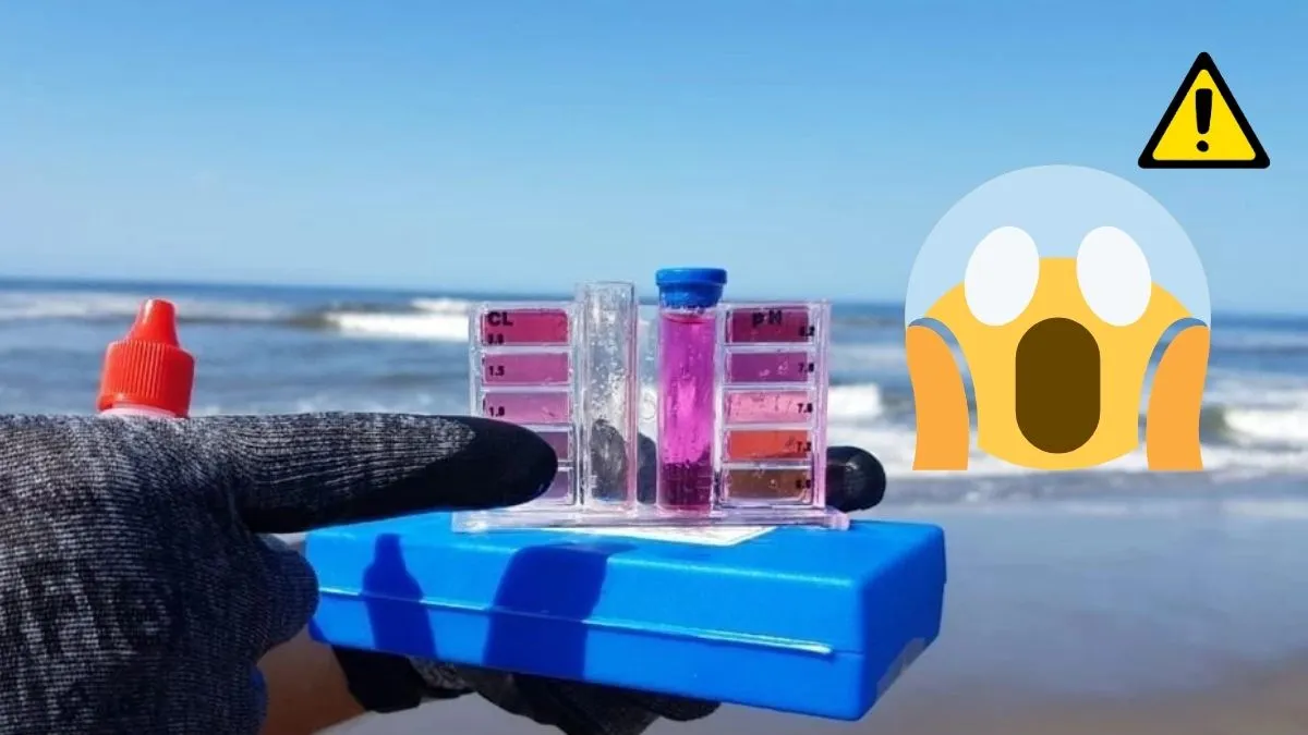 La Comisión Federal para la Protección contra Riesgos Sanitarios reportó que el 98% de las playas mexicanas cumplen con los estándares para su uso recreativo.