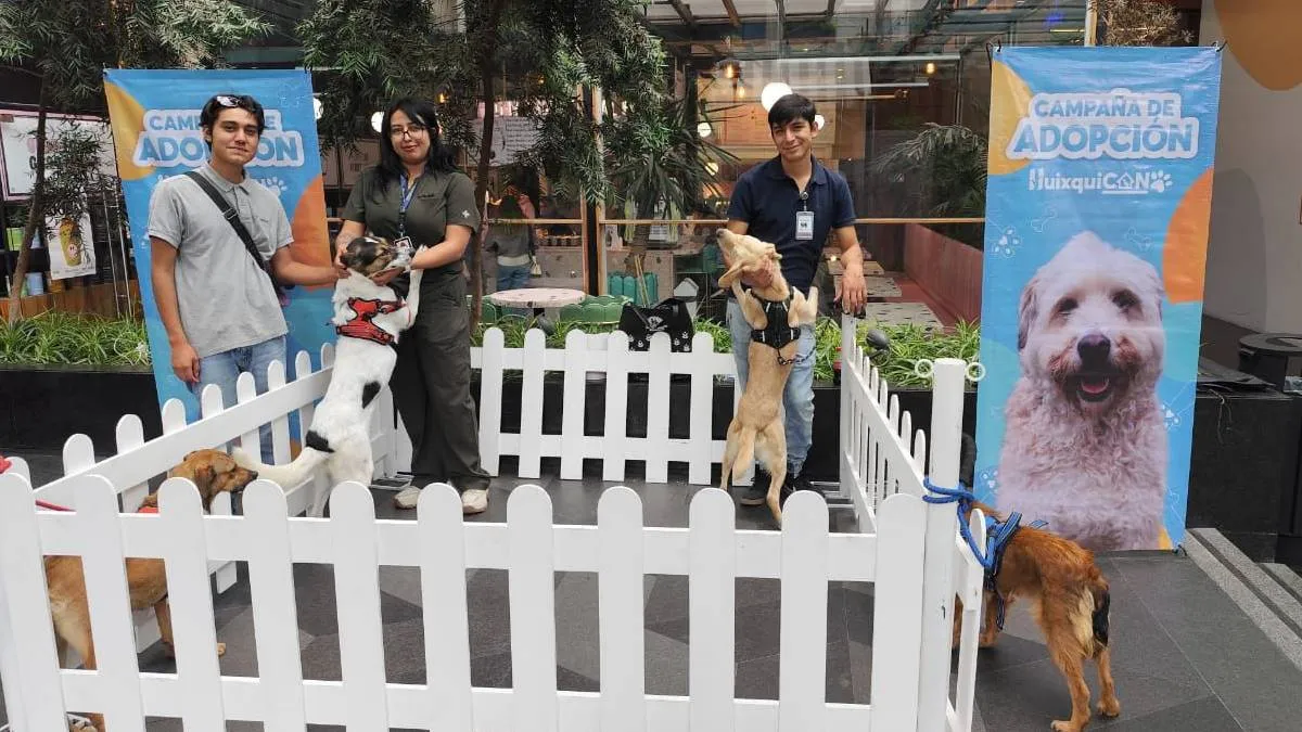 Romina Contreras invita a visitar “Huixquican” y adoptar un animal rescatado 