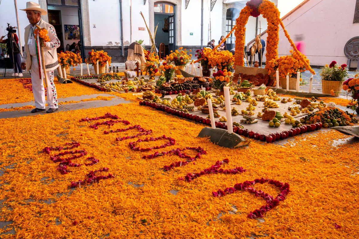 Chapingo recibe a los muertos con mega ofrenda Otomí