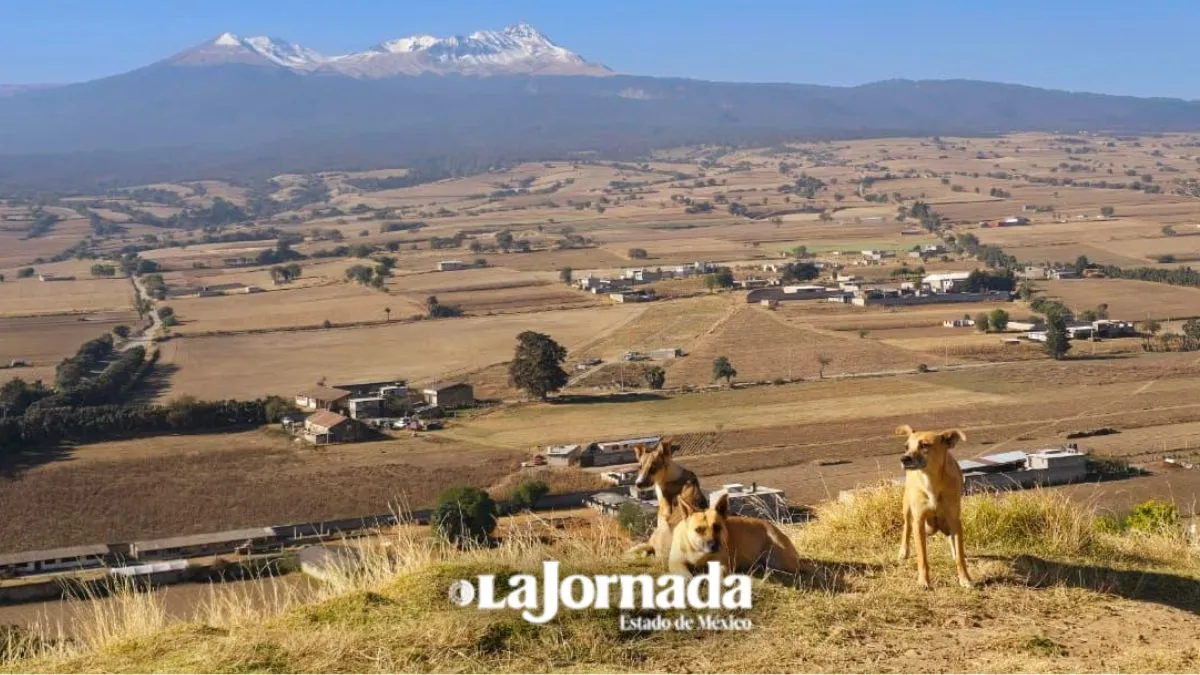 Edomex pierde más de mil hectáreas anuales por cambio de uso suelo: SNMF