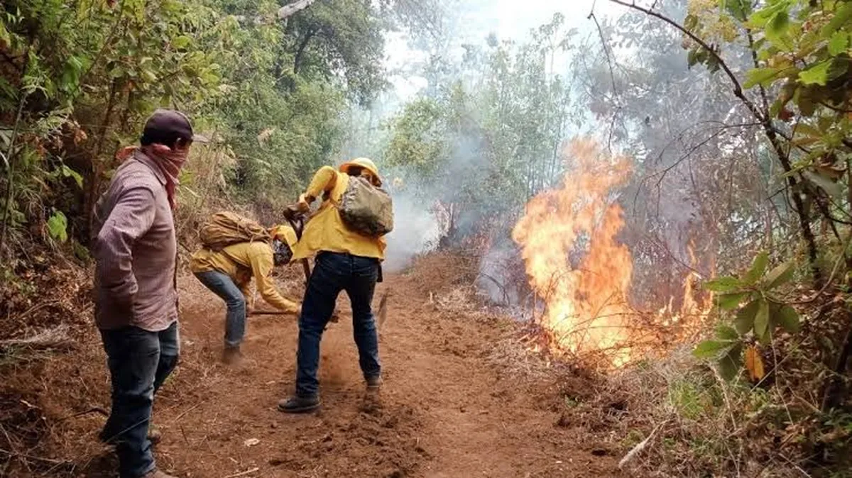 Edomex: Abre fin de semana con 9 incendios forestales