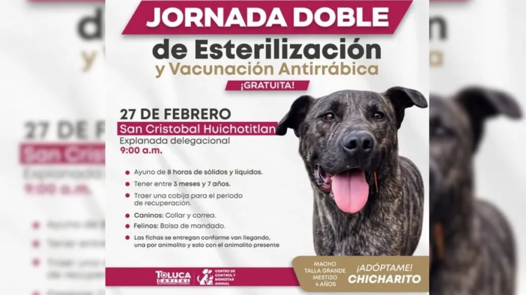 Toluca prepara jornada de esterilización en San Cristóbal Huichochitlán
