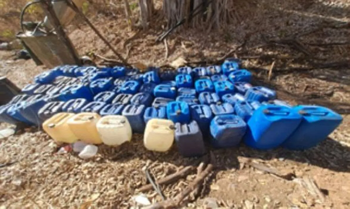 Destacaron la detención de mil 319 personas y el aseguramiento de mil 250 armas de fuego.