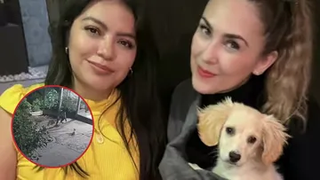 Aracely Arámbula adopta a Corazón, el cachorro víctima de maltrato en La Paz