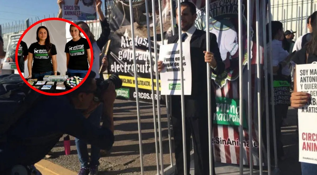 Anima Naturalis: la lucha legal por los animales
