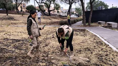 Edomex: Reforestan Parque de la Ciencia Tlalnepantla