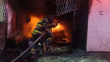 Pirotecnia desata incendio y mueren 14 perros en la CDMX