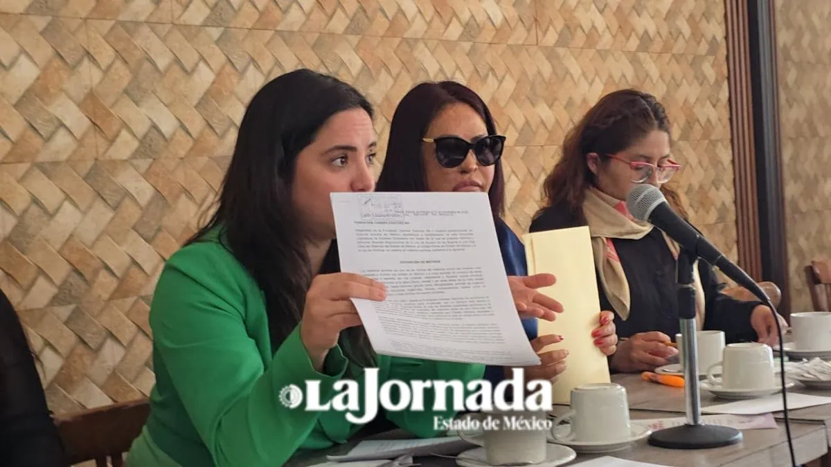 Carmen Sánchez denuncia exclusión de la iniciativa que ingresó para tipificar violencia química