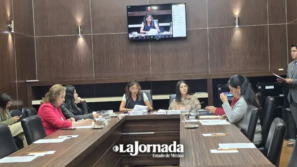 Avanzan reformas en materia de violencia vicaria en comisiones Legislativas