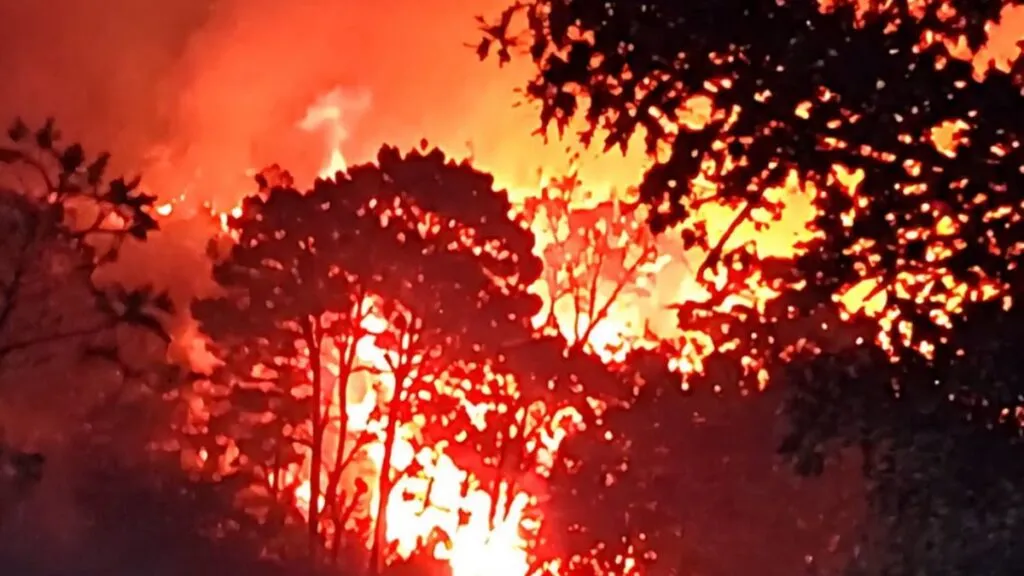 Volcán de Fuego hace erupción en Guatemala y declaran Alerta Roja Departamental