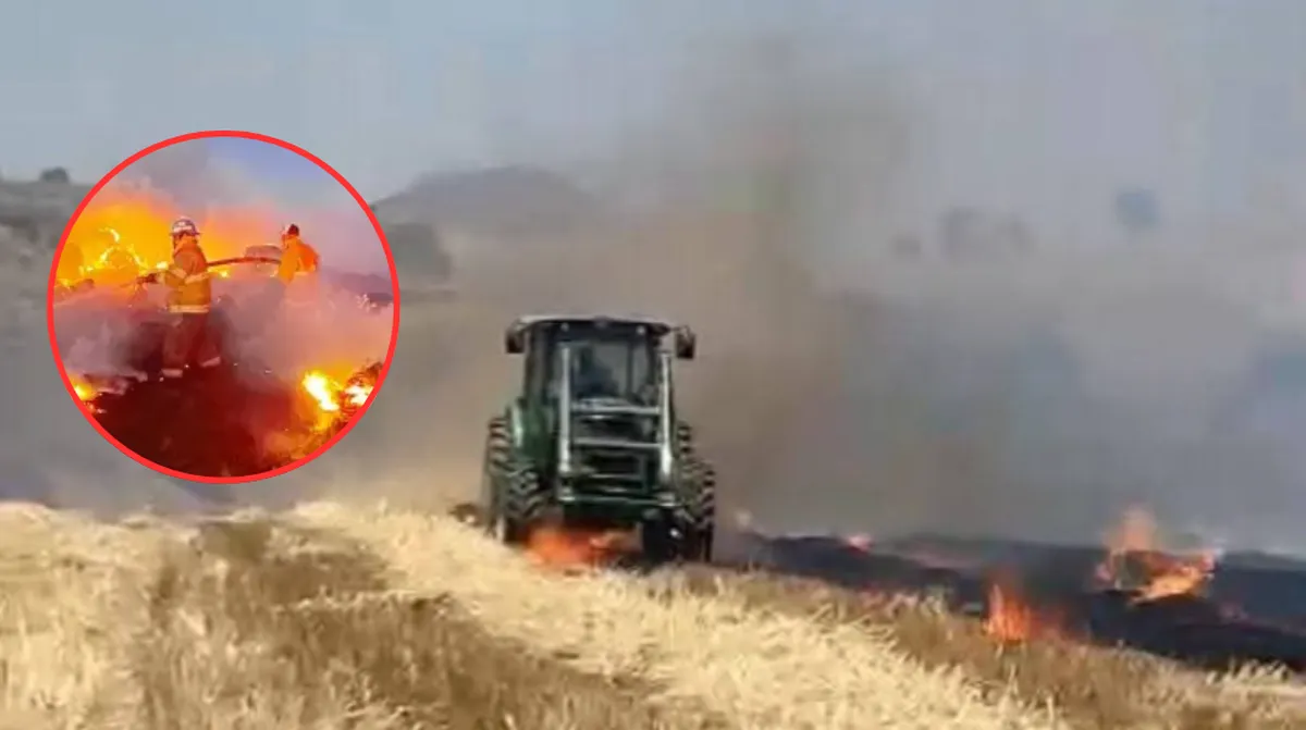 Juchitepec: Ayuntamiento “olvida” pagar indemnización a productores de trigo