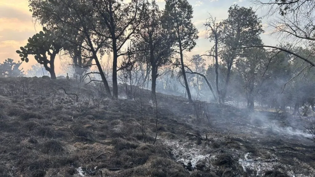 PC Edomex advierte que 9 de cada 10 incendios son provocados