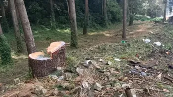 Zona de volcanes: Deforestación agudiza la sequía