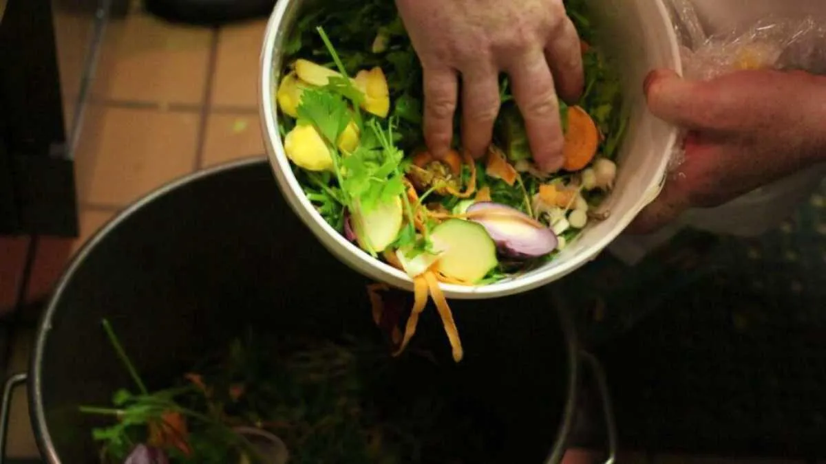 Cerca de 30 millones de toneladas de comida se desperdician anualmente en México