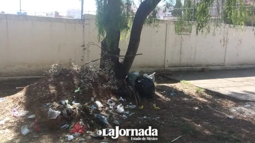 Parque Vicente Guerrero en total descuido: Vecinos de San Bernardino