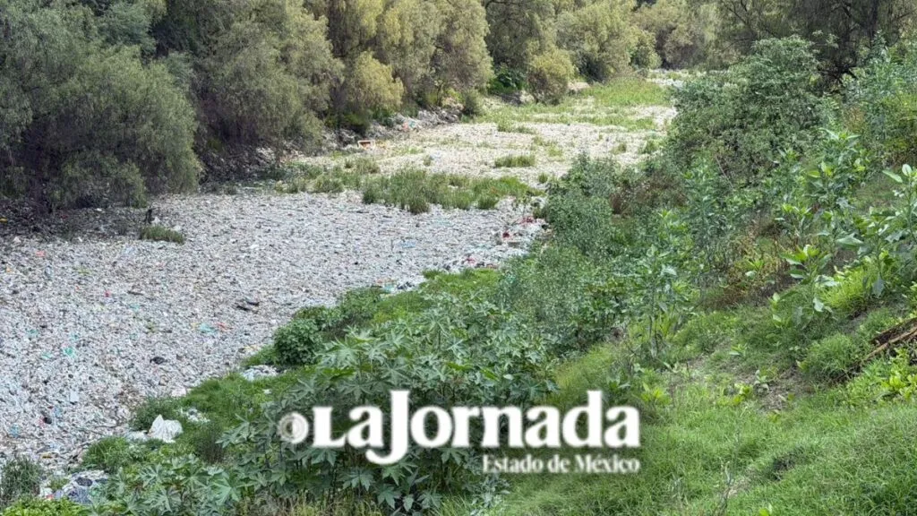 Basura acumulada en el Gran Canal complica búsqueda de desaparecidos