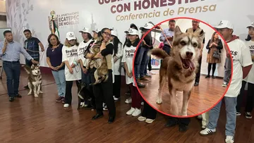 Ecatepec lanza jornada masiva de esterilización para frenar sobrepoblación animal
