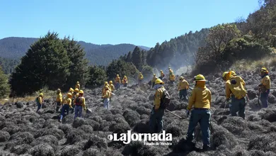 edomex-reporta-en-promedio-12-incendios-forestales-al-dia-jornadaestadodemexico