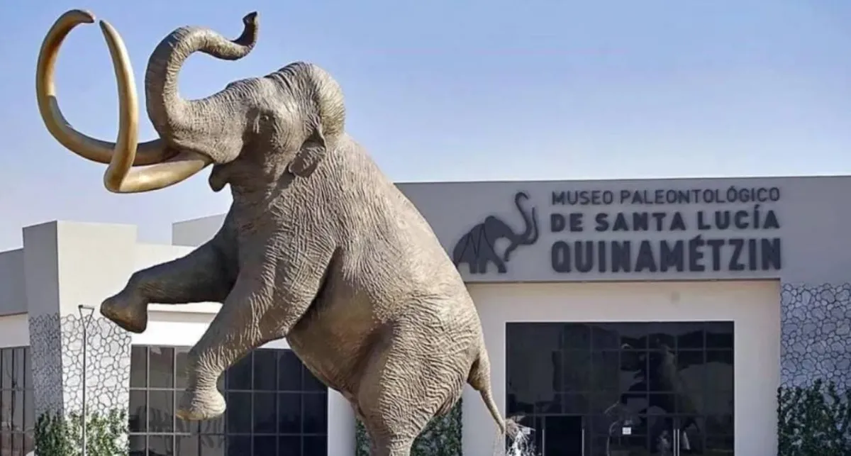 ¿Ya conoces el Museo Paleontológico de Santa Lucía?