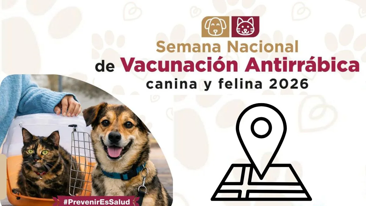 Edomex anuncia Semana Nacional de Vacunación antirrábica gratis: sedes, fechas y horario