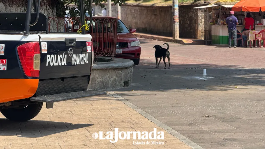 Ocuilan reforzará seguridad tras asesinato de regidor