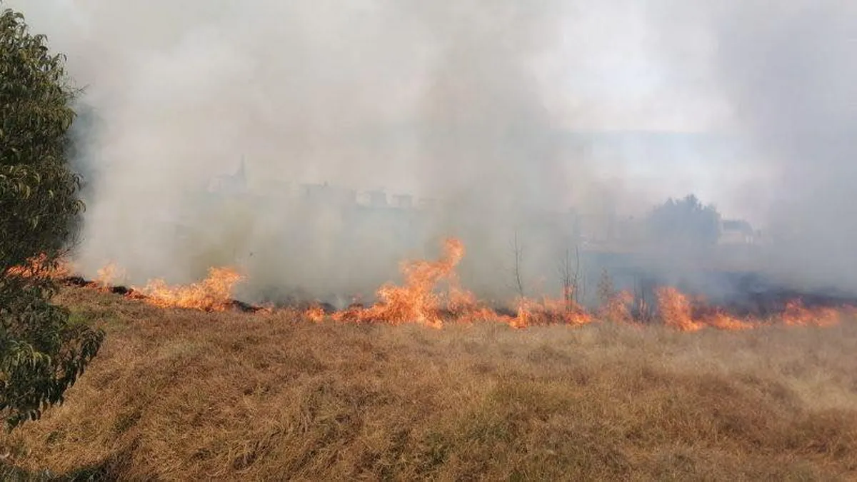 Los servicios de emergencia acudieron al lugar tras el reporte de los vecinos, pero al llegar solo pudieron confirmar su fallecimiento.