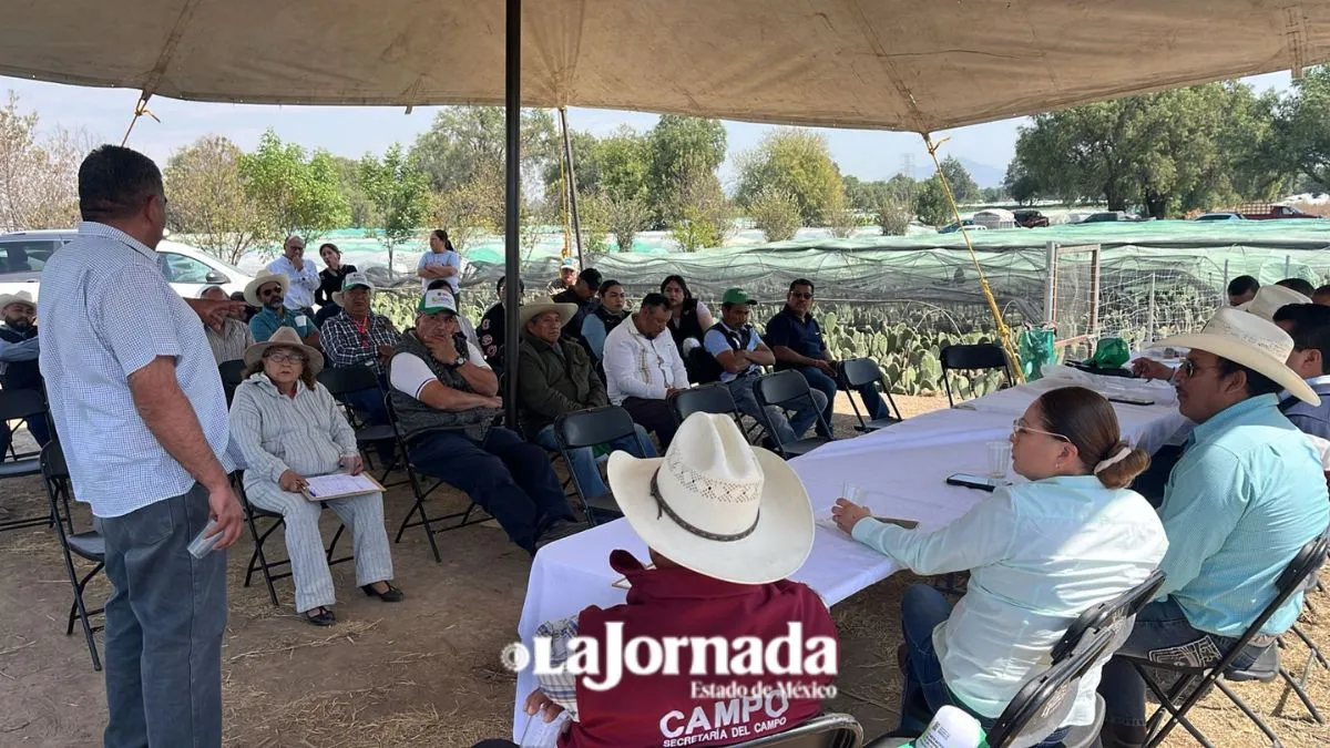 Productores de maíz denuncian robo; piden leyes más severas en Edomex