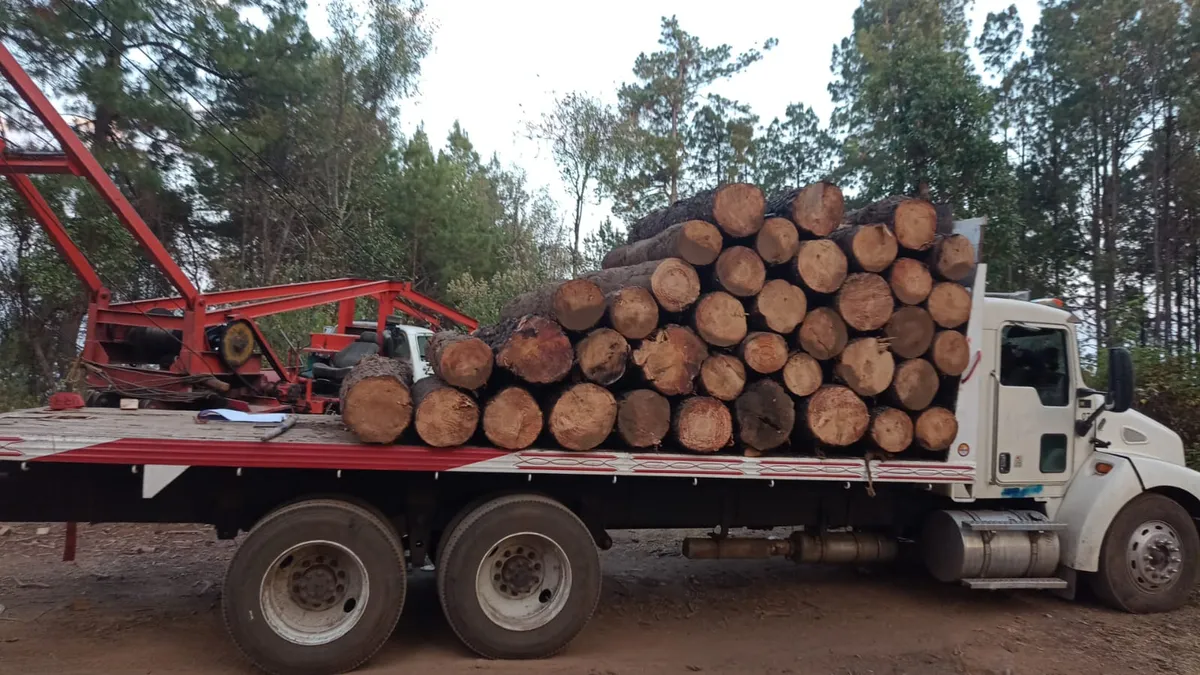 Edomex: Aseguran vehículos usados para Tala Clandestina y recuperan madera