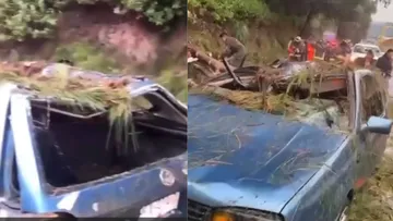 Video: Auto queda aplastado por un árbol en la México-Toluca