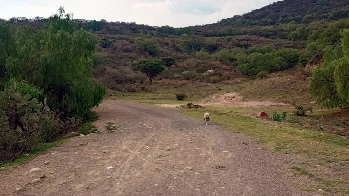 Alertan sobre asaltos violentos a ciclistas y corredores en el Valle de Teotihuacán