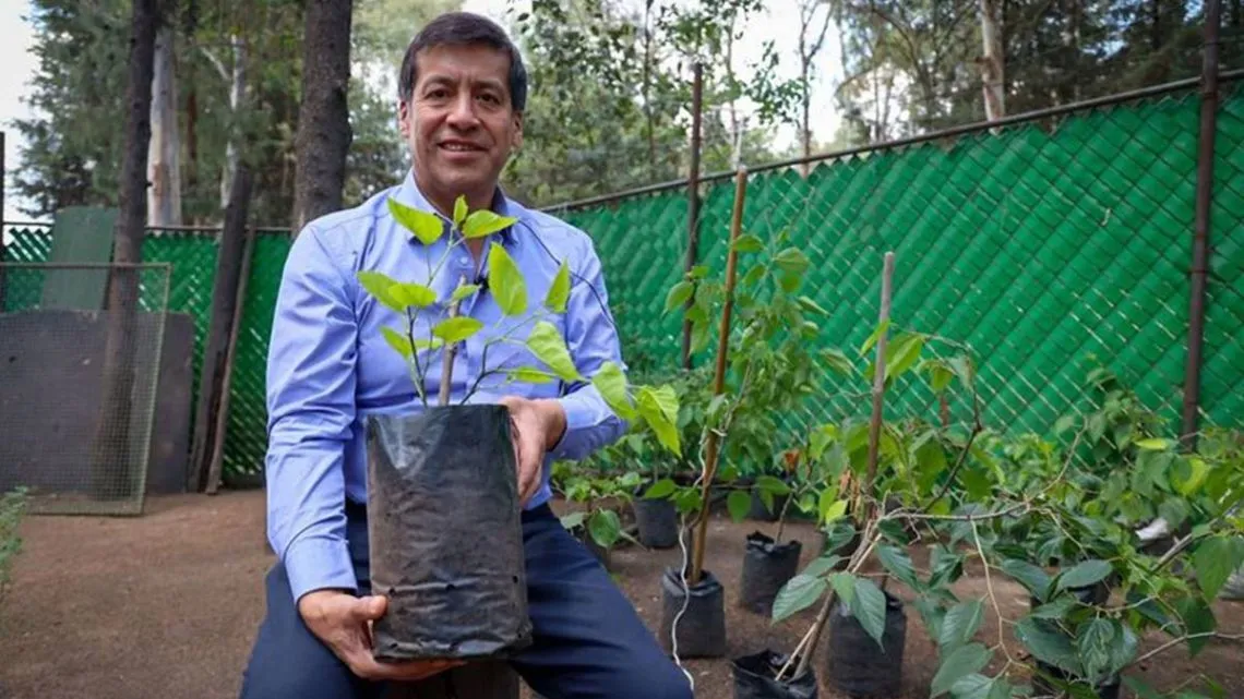 UAEMéx cumple meta de reforestación 2023
