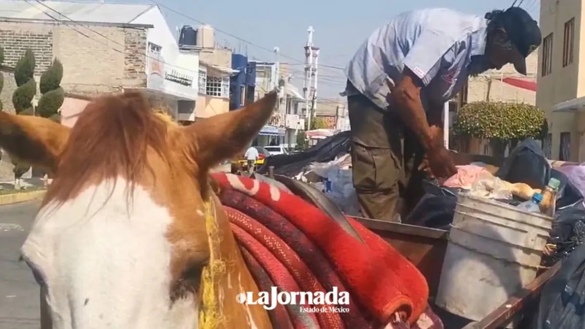 Los Reyes La Paz: el alto costo del confinamiento de basura