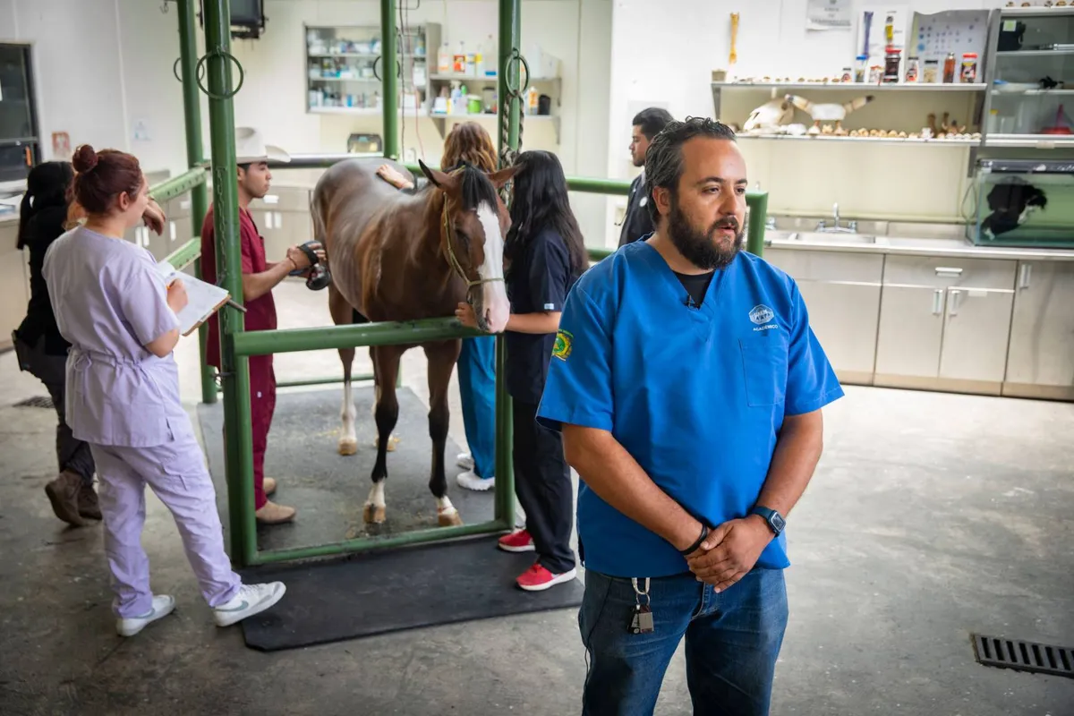 Realizan primera osteosíntesis en Centro Universitario Amecameca de la UAEMéx