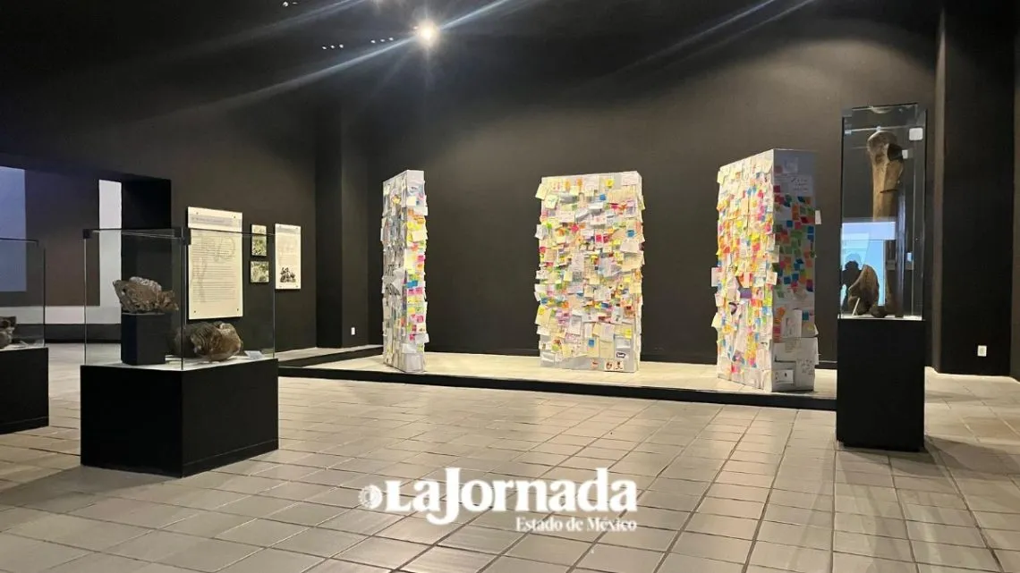 Edomex: Incrementan más del 30% visitas al Museo de Antropología e Historia