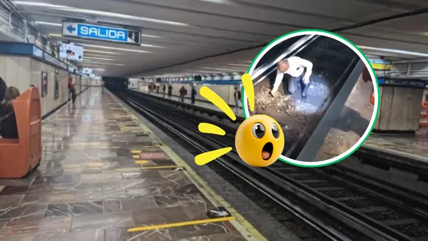 Personal del Metro salvó a una tortuga tras realizar un corte de corriente de tres minutos en la Línea 2.