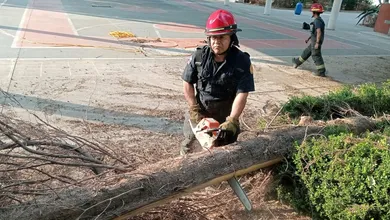 Bomberos de Tlalnepantla retiraron una rama de 7 metros de un pino estaba a punto de desplomarse cerca de una escuela.