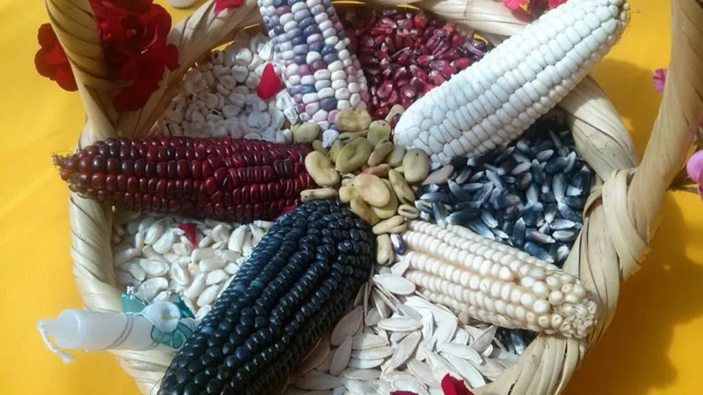 Día de la Candelaria en Otzolotepec