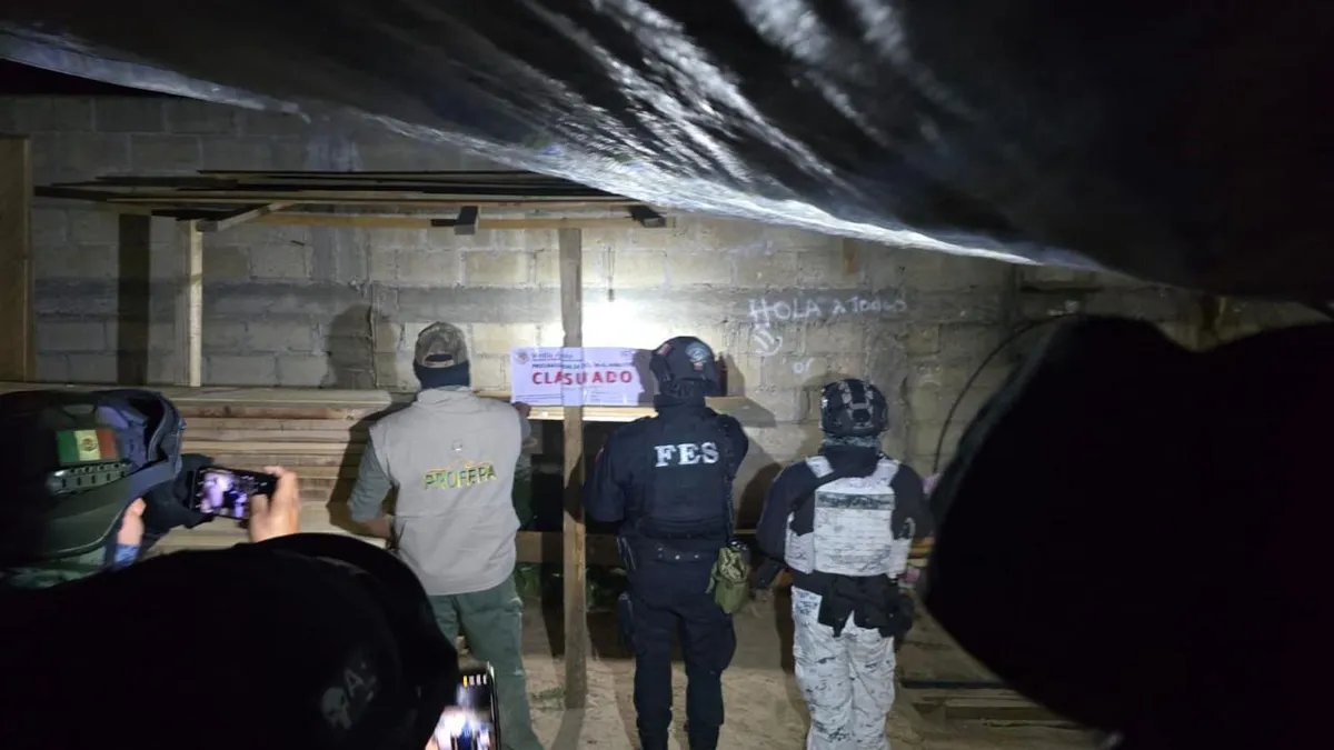 Aseguran dos predios en Ocuilan ligados a tala clandestina [VIDEO]