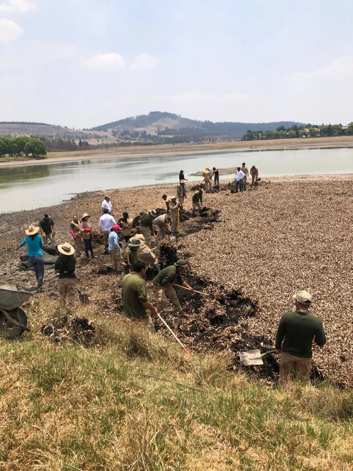 Colectivo INEETSI busca preservar el ecosistema del Valle de Toluca  